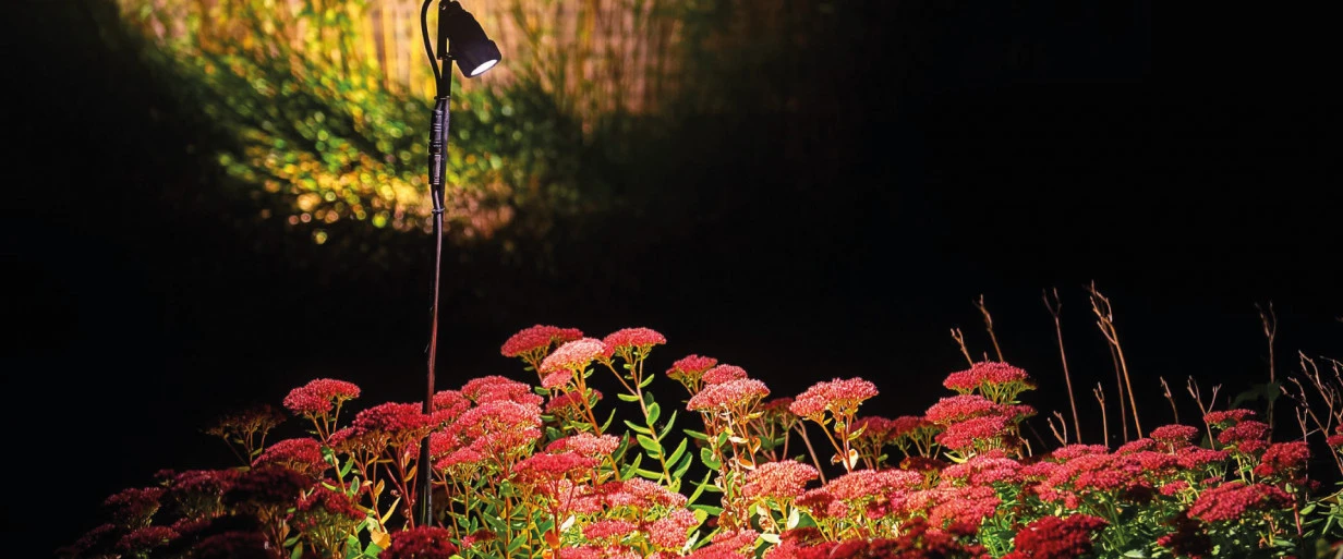 Suslight Sus Riser 100cm - Afbeelding 2